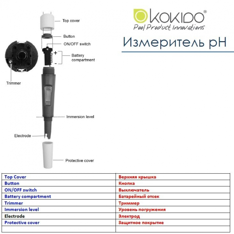 kokid_77.jpg